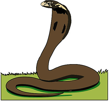 EPS 클립아트 동물 척추동물 한마리 일러스트 파충류 사람없음 십이지신 운세 뱀띠 뱀 코브라 국내일러스트 1 파일형식 벡터