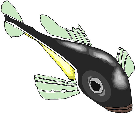 EPS 클립아트 동물 척추동물 한마리 일러스트 어류 사람없음 날치 국내일러스트 1 수중동물 파일형식 벡터