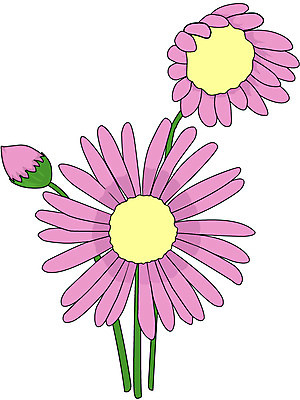 EPS 클립아트 식물 꽃 화초 분홍색 일러스트 가을꽃 사람없음 장미 쑥부쟁이 국내일러스트 컬러 파일형식 벡터 가을_계절