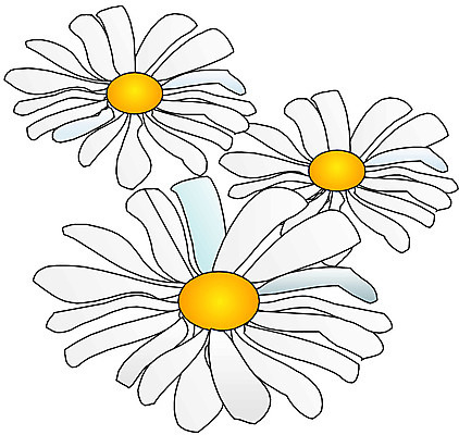 EPS 클립아트 식물 꽃 화초 일러스트 가을꽃 사람없음 장미 흰색 구절초 국내일러스트 컬러 파일형식 벡터 가을_계절