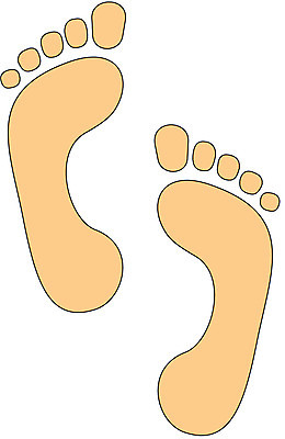 EPS 클립아트 신체 일러스트 발 신체부위 발자국 발바닥 발가락 국내일러스트 자국 사람 파일형식 벡터