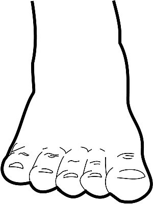 EPS 클립아트 신체 일러스트 발 자연 사람 신체부위 발가락 국내일러스트 생태계 파일형식 벡터