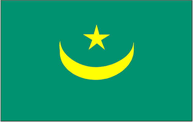 EPS 클립아트 나라 상징 외국문화 일러스트 아프리카 사람없음 국기 모리타니 국내일러스트 문화 파일형식 벡터