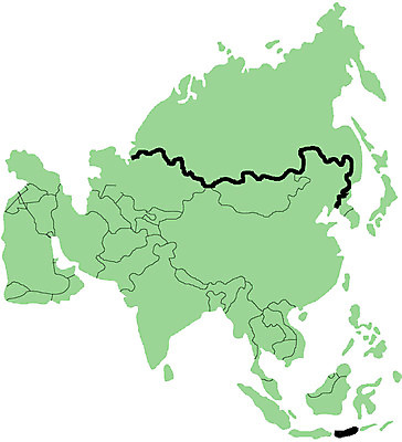 EPS 클립아트 나라 아시아 지구 외국문화 세계지도 지도 일러스트 사람없음 세계 글로벌 아시아지도 국내일러스트 문화 파일형식 벡터
