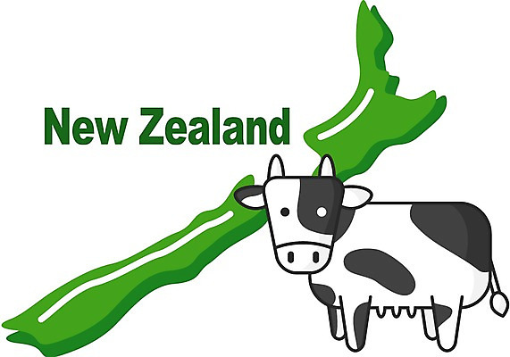 클립아트 해외 나라 지구 외국문화 지도 일러스트 세계 우유 오세아니아 국기 축산업 젖소 뉴질랜드 뉴질랜드문화 지명 국내일러스트 산업 문화 유제품 소 서양문화