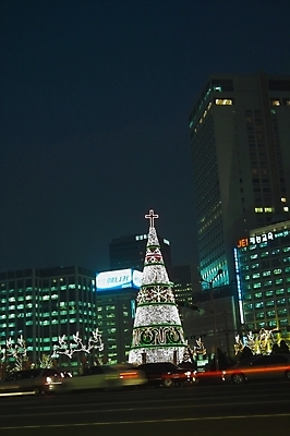 포토 JPG 도로 크리스마스 야경 조명 거리 빌딩 사람없음 야외 건물 빛 크리스마스트리 도시 밤거리 도심 네온 시청앞 시청앞광장 국내포토 건축물 기념일 길 교통시설 야간 시청_관공서 파일형식 풍경_경치