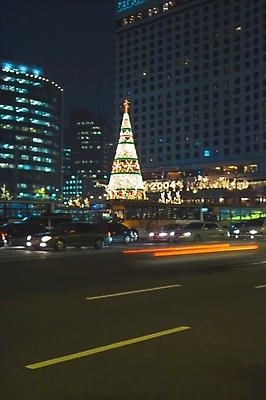 포토 JPG 도로 크리스마스 야경 조명 거리 빌딩 사람없음 야외 건물 빛 크리스마스트리 도시 밤거리 도심 네온 시청앞 시청앞광장 국내포토 건축물 기념일 길 교통시설 야간 시청_관공서 파일형식 풍경_경치