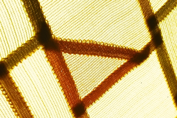 포토 JPG 생활용품 백그라운드 사람없음 직물 천 오브젝트 염색 천연염색 국내포토 파일형식