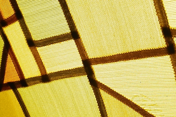 포토 JPG 생활용품 백그라운드 사람없음 직물 천 오브젝트 염색 천연염색 국내포토 파일형식