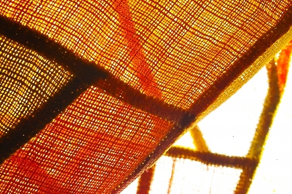 포토 JPG 생활용품 백그라운드 사람없음 직물 천 오브젝트 염색 천연염색 국내포토 파일형식