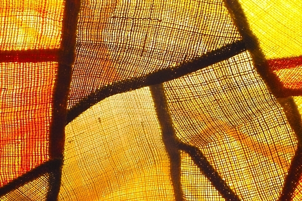 포토 JPG 생활용품 백그라운드 사람없음 직물 천 오브젝트 염색 천연염색 국내포토 파일형식