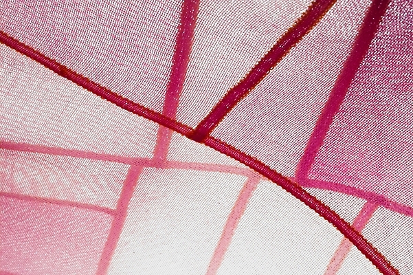 포토 JPG 생활용품 백그라운드 사람없음 보라색 직물 천 오브젝트 염색 천연염색 국내포토 컬러 파일형식