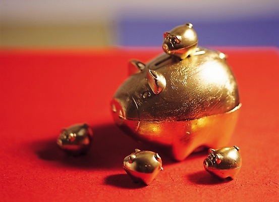 포토 JPG 생활용품 실내 사람없음 장식 여러개 황금 오브젝트 금돼지 동물가족 복돼지 국내포토 다수 가족 내부 돼지 파일형식