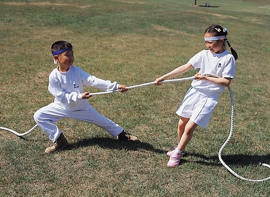 포토 JPG 주간 학생 여자 어린이교육 교육 남자 어린이 줄 놀이 사람 소녀 소년 야외 운동 경쟁 줄다리기 체육대회 백팀 청팀 어린이만 국내포토 자연요소 컨셉 건강 체육 대회 파일형식