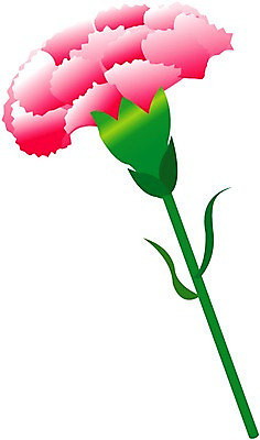 EPS 클립아트 식물 꽃잎 꽃 화초 줄기 분홍색 잎 일러스트 여름꽃 자연 초록색 어버이날 카네이션 국내일러스트 기념일 컬러 생태계 파일형식 벡터 여름_계절