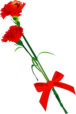 EPS 클립아트 식물 꽃 일러스트 여름꽃 자연 사람없음 어버이날 두송이 카네이션 국내일러스트 기념일 2 생태계 파일형식 벡터 여름_계절