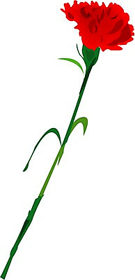 EPS 클립아트 식물 꽃 한송이 일러스트 여름꽃 자연 사람없음 어버이날 카네이션 국내일러스트 1 기념일 생태계 송이 파일형식 벡터 여름_계절