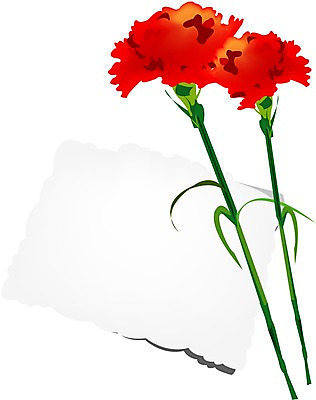 EPS 클립아트 식물 꽃 일러스트 여름꽃 자연 사람없음 어버이날 두송이 카네이션 감사 국내일러스트 카드프레임 기념일 감정 2 프레임 생태계 파일형식 벡터 여름_계절