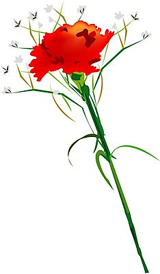 EPS 클립아트 식물 꽃 한송이 일러스트 여름꽃 자연 사람없음 어버이날 카네이션 국내일러스트 1 기념일 생태계 송이 파일형식 벡터 여름_계절