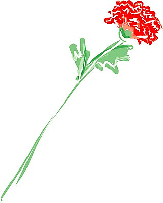 EPS 클립아트 식물 꽃잎 꽃 화초 줄기 잎 일러스트 여름꽃 자연 빨간색 초록색 어버이날 카네이션 감사 국내일러스트 기념일 감정 컬러 생태계 파일형식 벡터 여름_계절