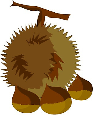 EPS 클립아트 식물 열매 과일 일러스트 사람없음 농작물 견과류 가을 밤 밤송이 국내일러스트 계절 농업 밤_견과류 파일형식 벡터