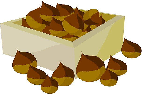 EPS 클립아트 식물 열매 과일 일러스트 사람없음 농작물 견과류 가을 밤 되 국내일러스트 계절 농업 파일형식 벡터