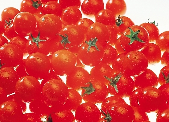 포토 JPG 식물 웰빙 백그라운드 채소 식재료 방울토마토 근접촬영 사람없음 빨간색 농작물 하이앵글 미니토마토 국내포토 뷰포인트 컬러 농업 토마토 파일형식