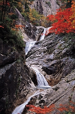 포토 JPG 주간 나무 식물 로우앵글 백그라운드 단풍 자연 단풍나무 산 풍경 사람없음 야외 골짜기 계곡 폭포 가을 암석 돌_바위 바위 국내포토 자연요소 계절 뷰포인트 잎 생태계 파일형식