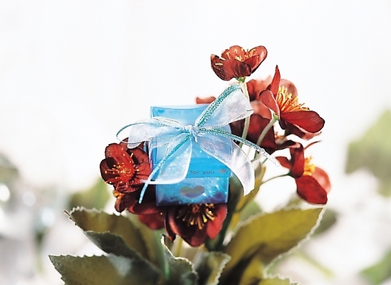 포토 JPG 주간 식물 꽃 리본 백그라운드 포장 선물 근접촬영 사람없음 야외 장식 마음 축하 오브젝트 진홍색 조화 국내포토 자연요소 뷰포인트 컨셉 빨간색 파일형식