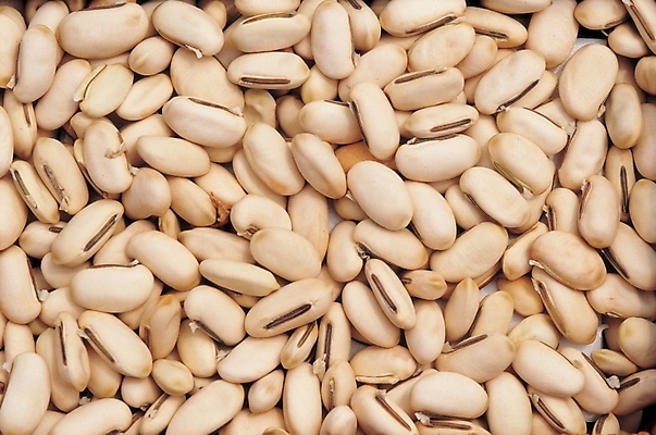 포토 JPG 식물 열매 음식 백그라운드 식재료 콩 곡류 실내 씨앗 근접촬영 사람없음 농작물 종 흰색 작두콩 국내포토 뷰포인트 컬러 농업 내부 파일형식