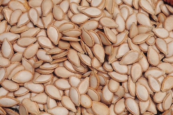 포토 JPG 식물 열매 백그라운드 식재료 실내 씨앗 근접촬영 사람없음 농작물 종 호박씨 국내포토 뷰포인트 농업 내부 파일형식