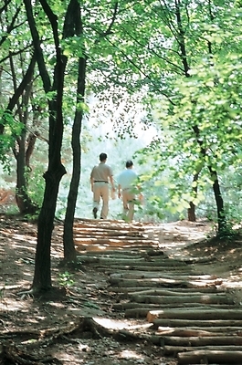 포토 JPG 주간 나무 식물 웰빙 남자 길 자연 사람 풍경 야외 두명 뒷모습 등산 산책로 수목원 자연주의 나무계단 남자만 국내포토 자연요소 뷰포인트 계단 트래킹 생태계 파일형식