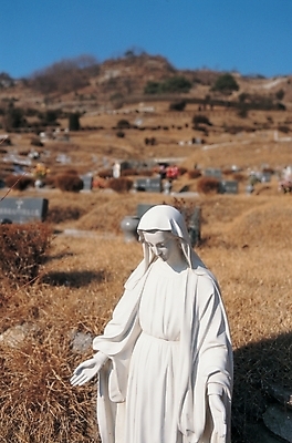 포토 JPG 주간 기독교 종교 조각 종교용품 풍경 사람없음 야외 동상 조각상 천주교 무덤 오브젝트 작품 천주교용품 마리아 성모마리아상 성모상 조각_조소 국내포토 자연요소 미술 조형물 기념물 조소 파일형식