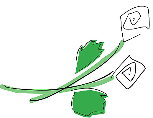 EPS 식물 사계절 계절 꽃 일러스트 자연 사람없음 봄 흰색 두송이 국내일러스트 컬러 2 생태계 파일형식 벡터