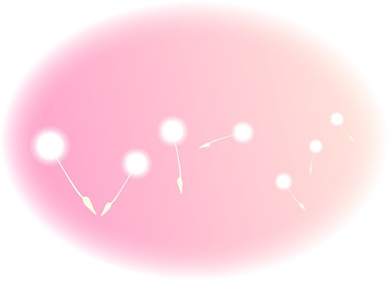 EPS 식물 꽃 일러스트 사람없음 봄 민들레 민들레홀씨 꽃씨 국내일러스트 계절 파일형식 벡터