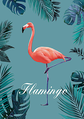 PSD 한마리 일러스트 북유럽스타일 사람없음 플라밍고 야자수잎 트로피컬아트 애니멀아트 국내일러스트 1 잎 조류 그림 스타일 파일형식