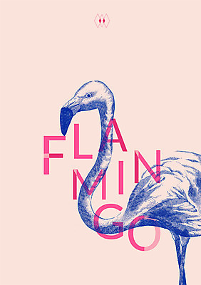 PSD 한마리 일러스트 북유럽스타일 타이포그라피 사람없음 플라밍고 트로피컬아트 애니멀아트 국내일러스트 문자 1 조류 그림 스타일 파일형식