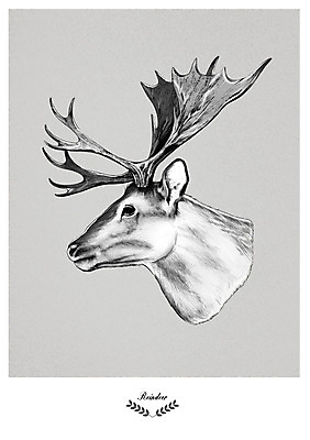 PSD 한마리 일러스트 사슴 북유럽스타일 사람없음 순록 애니멀아트 국내일러스트 1 포유류 그림 스타일 파일형식