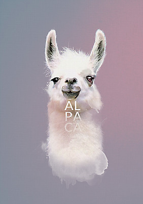 PSD 동물 한마리 일러스트 북유럽스타일 사람없음 알파카 애니멀아트 국내일러스트 1 그림 스타일 파일형식