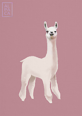 PSD 동물 한마리 일러스트 북유럽스타일 사람없음 알파카 애니멀아트 국내일러스트 1 그림 스타일 파일형식