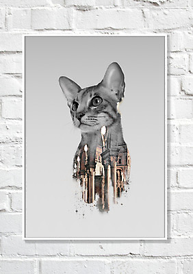 PSD 한마리 액자 일러스트 사각프레임 북유럽스타일 사람없음 고양이 다중노출 애니멀아트 국내일러스트 1 포유류 프레임 촬영기법 반려동물 사각형 그림 스타일 파일형식