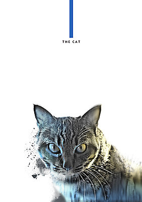 PSD 한마리 일러스트 북유럽스타일 사람없음 고양이 애니멀아트 국내일러스트 1 포유류 반려동물 그림 스타일 파일형식