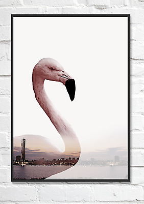 PSD 한마리 액자 일러스트 사각프레임 북유럽스타일 사람없음 플라밍고 다중노출 트로피컬아트 애니멀아트 국내일러스트 1 조류 프레임 촬영기법 사각형 그림 스타일 파일형식