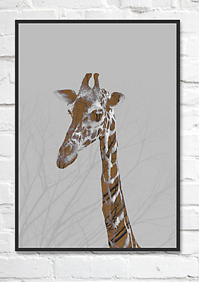 PSD 한마리 액자 일러스트 사각프레임 북유럽스타일 사람없음 기린 다중노출 애니멀아트 국내일러스트 1 포유류 프레임 촬영기법 사각형 그림 스타일 파일형식