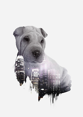 PSD 한마리 야경 일러스트 북유럽스타일 사람없음 건물 샤페이 다중노출 애니멀아트 국내일러스트 1 건축물 촬영기법 개 야간 그림 스타일 파일형식 풍경_경치