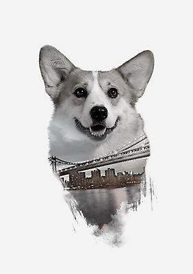 PSD 한마리 일러스트 북유럽스타일 사람없음 강 강아지 웰시코기 가교 다중노출 애니멀아트 국내일러스트 1 건축물 촬영기법 반려동물 개 그림 스타일 파일형식