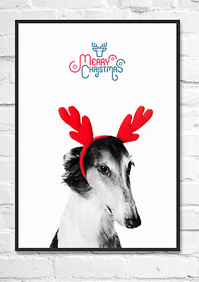 PSD 한마리 액자 크리스마스 일러스트 사각프레임 북유럽스타일 사람없음 강아지 아프간하운드 루돌프머리띠 애니멀아트 국내일러스트 1 기념일 프레임 반려동물 사각형 머리띠 개 그림 하운드 스타일 파일형식