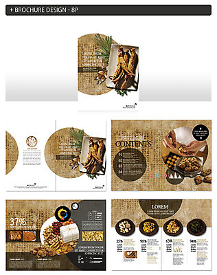 템플릿 손 ZIP 팜플렛 신체부위 한의학 한약재 한의사 홍삼 환 인디자인 INDD 이미지템플릿 의학 사람 약 의사 약재 삼 파일형식