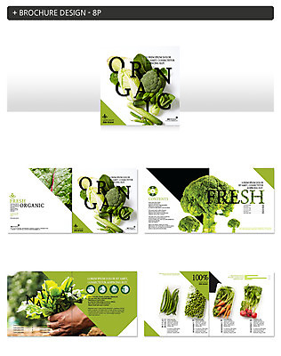 템플릿 손 ZIP 채소 팜플렛 신체부위 당근 브로콜리 유기농 강낭콩 인디자인 INDD 이미지템플릿 웰빙 콩 뿌리채소 사람 파일형식