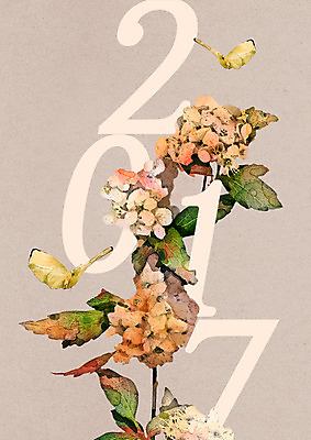 PSD 편집이미지 꽃 나비 카드템플릿 수채화 근하신년 새해 사람없음 연하장 엽서 2017년 이미지편집 카드프레임 식물 템플릿 곤충 카드_감사 프레임 편지 연도 파일형식